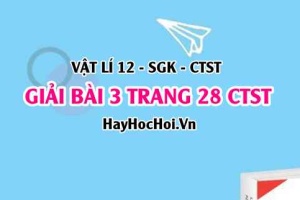 Giải bài 3 trang 28 Vật lí 12 Chân trời sáng tạo